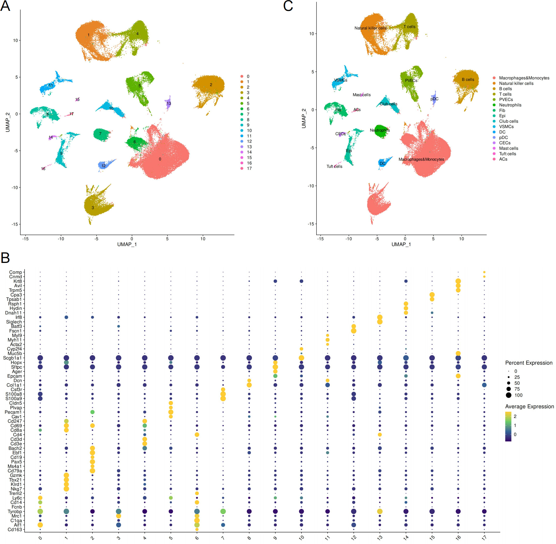 Single-Cell RNA Sequencing Revealing Yiqi Huayu Jiedu Formula Mediated ...