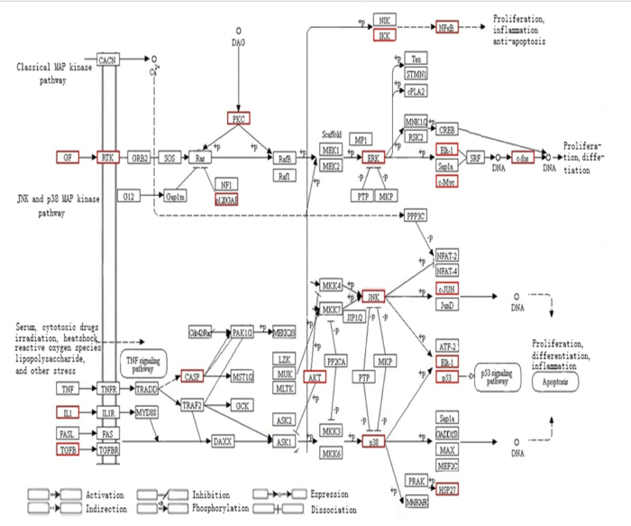 figure-results-4 figure-results-4