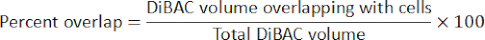 Percent overlap formula; relevant for cell volume analysis; includes DiBAC volume equation.