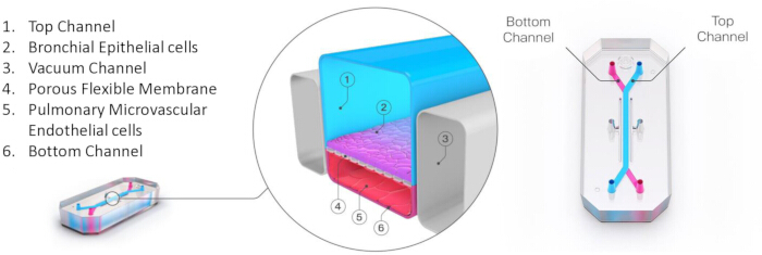 figure-protocol-1