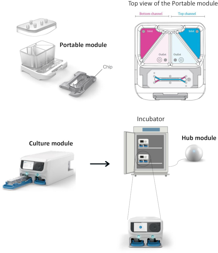 figure-protocol-5