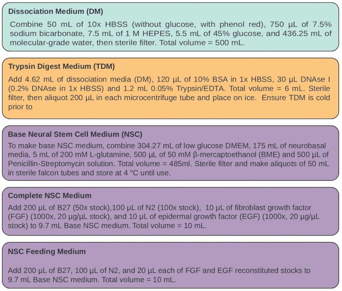 Stem cell culture medium preparation, formula chart; includes DM, TDM, NSC, growth factors, filtration.