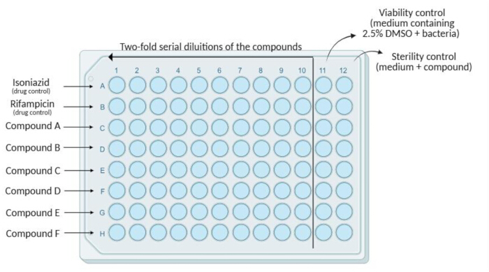 Microplate assay diagram showing two-fold serial dilutions of compounds for bacterial viability test.