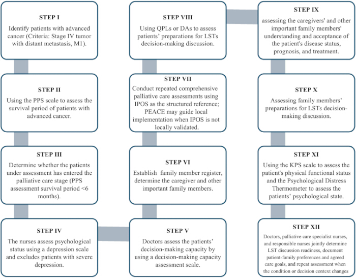 figure-results-2 Palliative care process diagram. Steps include patient assessment, decision-making, and family involvement.