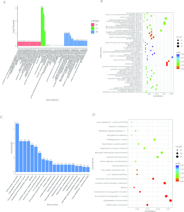 figure-results-4 figure-results-4