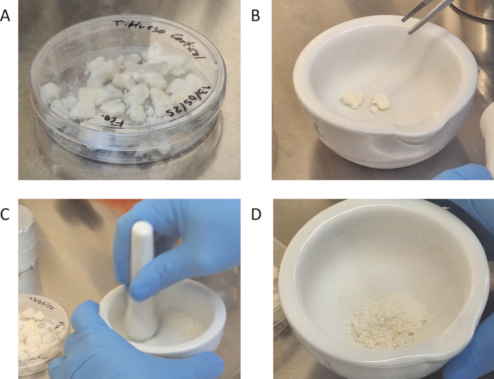 Mortar and pestle grinding process; experiment preparing chemical samples; steps A-D shown.