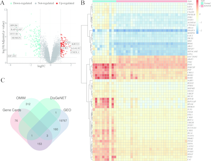 figure-results-2 Volcano plot, heatmap, and Venn diagram showing gene expression, clustering analysis, and data source integration.
