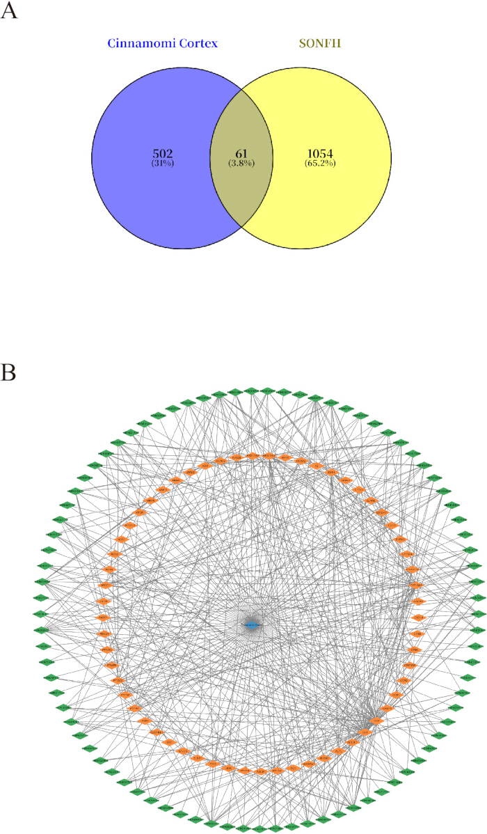 figure-results-3 Venn diagram of Cinnamomi Cortex vs. SONFH, protein interaction network, data visualization.