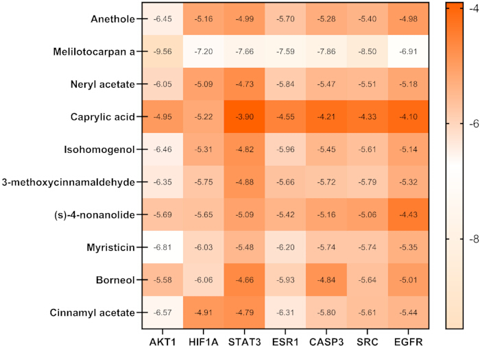 figure-results-6 Heatmap depicting compound-protein interactions; data analysis of binding affinity values.