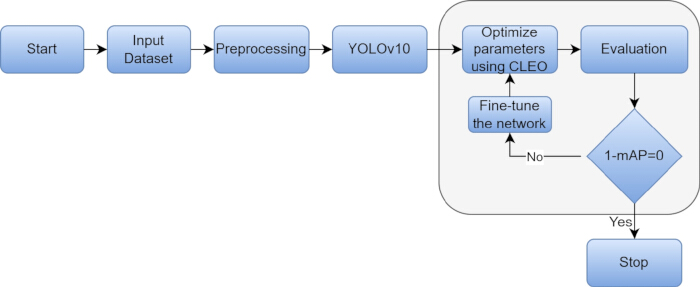 figure-protocol-9 YOLOv10 workflow diagram: dataset input, preprocessing, parameter optimization, network fine-tuning.