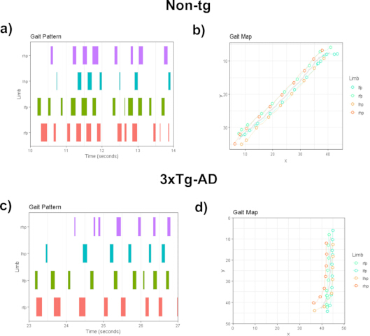 Gait analysis diagrams and charts comparing limb patterns and maps in Non-tg and 3xTg-AD mice.