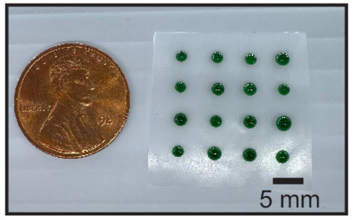 Microfluidic chip with green droplets next to a penny for scale, diagram of droplet size comparison.