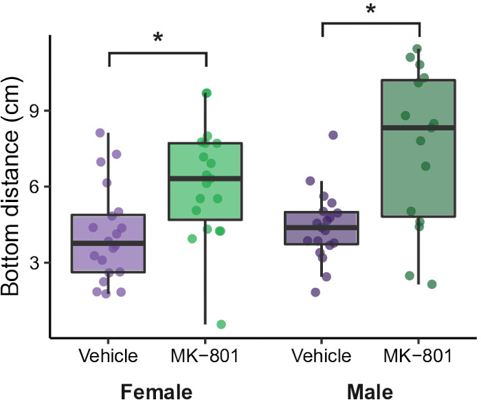 Box plot showing bottom distance in cm for male and female subjects under Vehicle and MK-801 conditions.