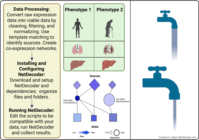 figure-results-1 Data processing, diagram; phenotype comparison; NetDecoder setup for expression data analysis.