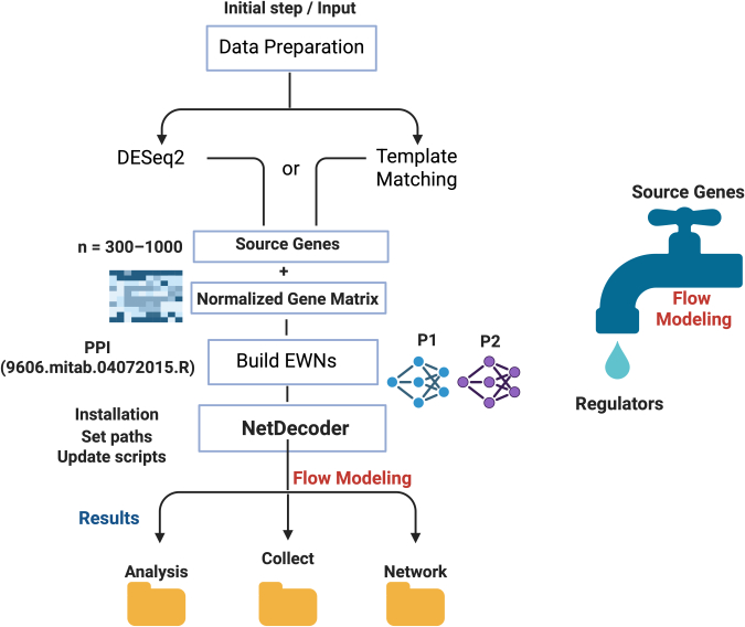 figure-results-2 Gene expression modeling process diagram using NetDecoder; data preparation, flow modeling analysis.