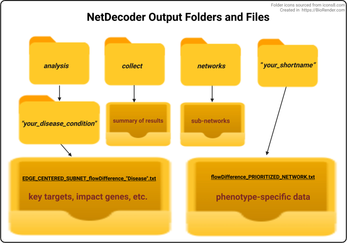 figure-results-3 NetDecoder file organization diagram; analysis folders; key targets, phenotype-specific data.