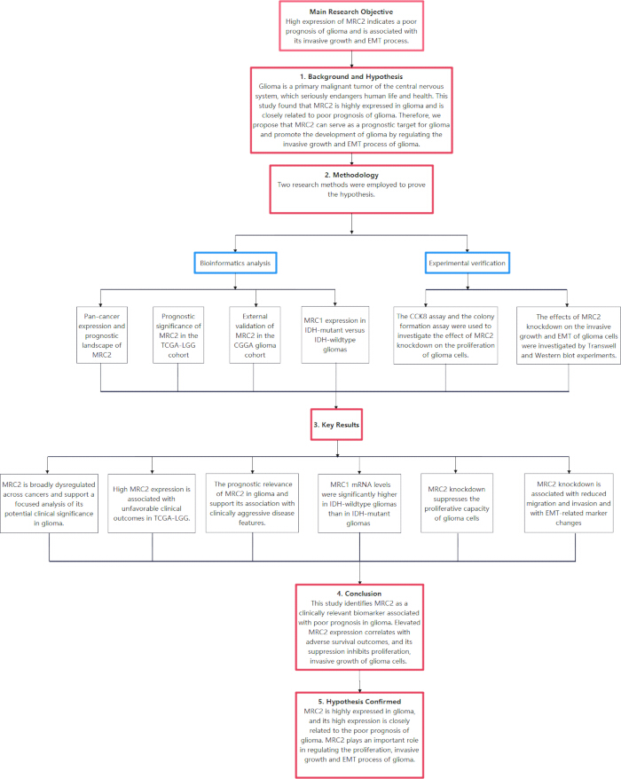 figure-results-1 Glioma research flowchart; diagrams bioinformatics analysis, experimental setup, MRC2 expression study.