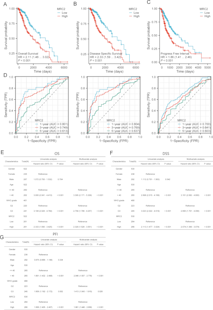 figure-results-3 Kaplan-Meier survival curves and ROC analysis graphs for MRC2 in survival studies; statistical tables.