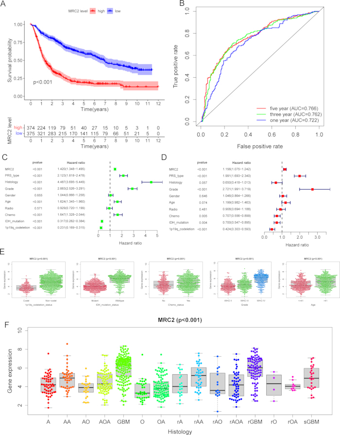 figure-results-4 Kaplan-Meier survival analysis, ROC curve, hazard ratio analysis, gene expression box plots for MRC2.