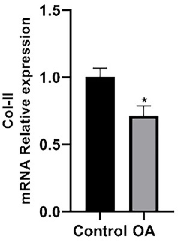 figure-results-1 Col-II mRNA relative expression bar graph showing control vs OA results, educational chart