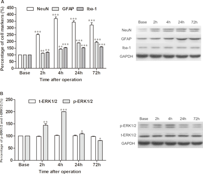 figure-results-2