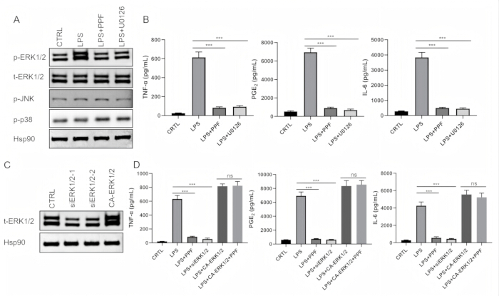 figure-results-9