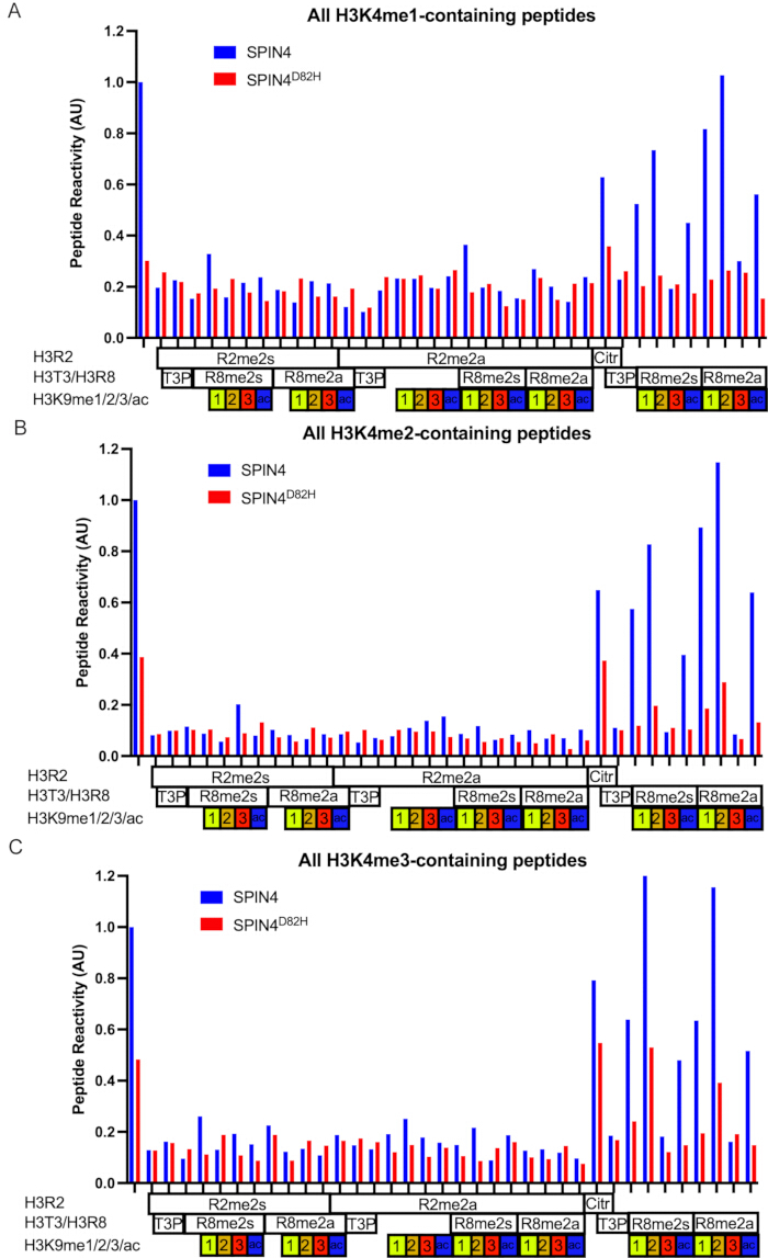 figure-results-2 Peptide reactivity graph with SPIN4, SPIN4D82H; histone modifications H3K4me1/2/3 analysis.