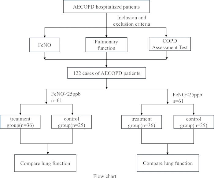 figure-results-1 AECOPD patient selection flowchart; FeNO levels, treatment, control groups, lung function comparison.