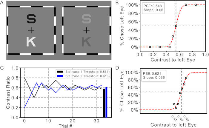 Contrast perception experiment; visual stimuli, psychometric curves, contrast ratio analysis in graphs.