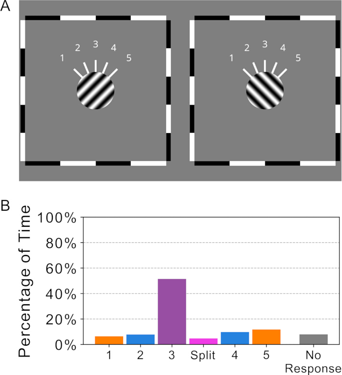 Visual experiment setup with pattern discrimination and a bar graph showing response percentages.