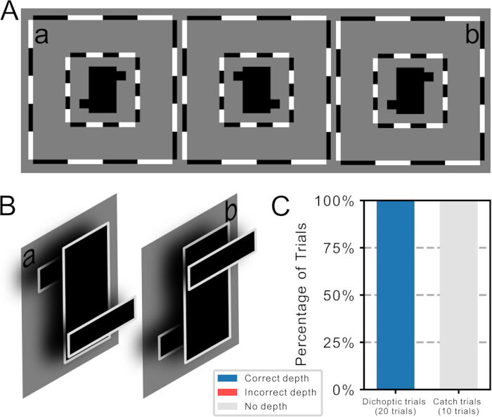 Static equilibrium, visual depth perception diagrams, and bar chart analysis of trial accuracy.