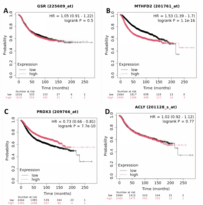 figure-results-8 Kaplan-Meier survival curves for gene expression in cancer analysis; probability vs. time charts.