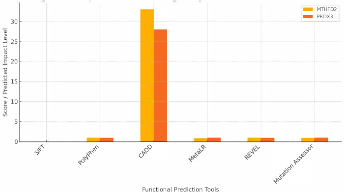 figure-results-9 Functional prediction tools bar chart; CADD highest impact score for MTHFD2, PRDX3 genes.