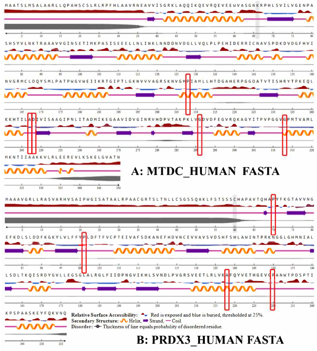 figure-results-10 Protein sequence analysis diagram; secondary structure, helix, strand for MTDC and PRDX3 human FASTA.