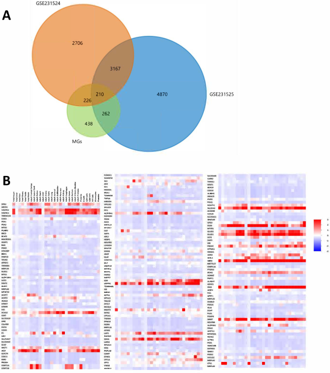 figure-results-2 Venn diagram gene expression datasets overlap; heatmap expression analysis, biological research.