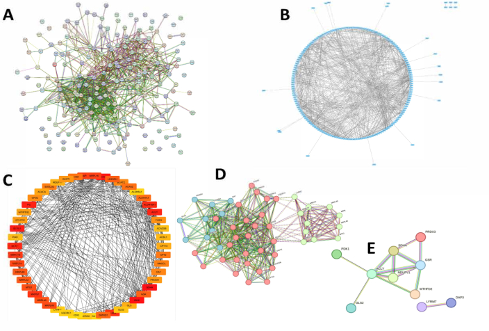figure-results-3 Protein interaction network analysis diagrams A-E; visualizing molecular connections and pathways.