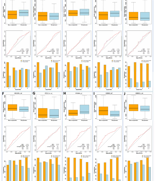 figure-results-6 Box plots, ROC curves, and bar charts illustrating gene expression analysis and prediction accuracy.