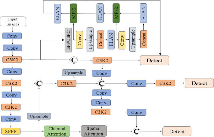 Convolutional neural network diagram; includes Conv, ELAN, SPPF modules for image detection process.