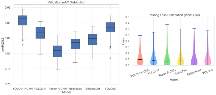 Box plot and violin plot comparing validation mAP and training loss of machine learning models.