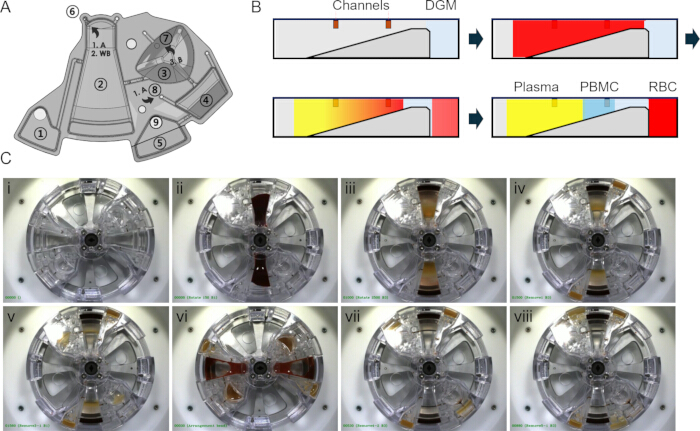 Robust Isolation and Multiplexed Identification of Circulating Rare ...
