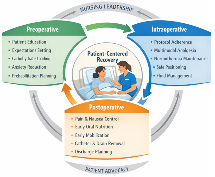 Patient-centered recovery diagram; preoperative, intraoperative, postoperative phases; nursing care.