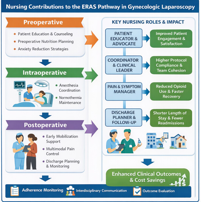 ERAS pathway diagram in gynecologic laparoscopy; highlights preoperative, intraoperative, postoperative roles.