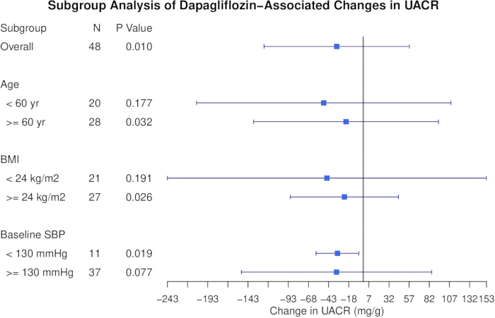 figure-results-6 Subgroup analysis graph, dapagliflozin impact on UACR, age, BMI, blood pressure variations, P-value.