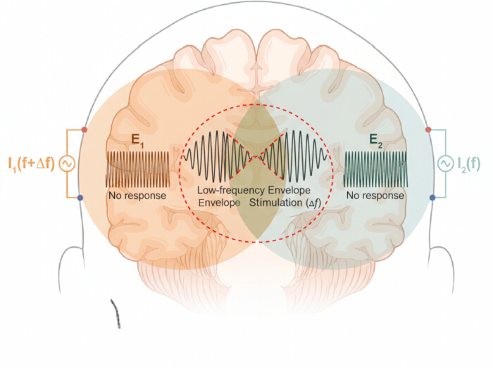 brain stimulation diagram, low-frequency envelope, no response, E1/E2, Δf, neurological study