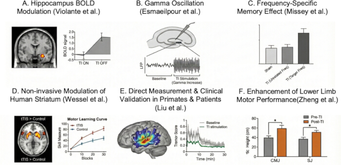 Neuroscience studies with brain imaging, gamma oscillation, memory effects; diagrams and graphs.