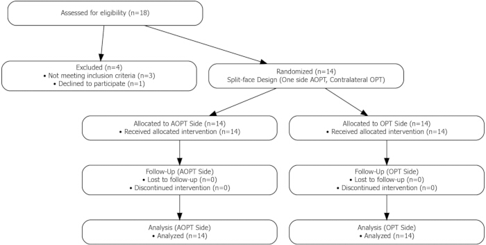 figure-results-1 Flowchart: clinical trial randomization process; split-face design comparison; inclusion/exclusion criteria.