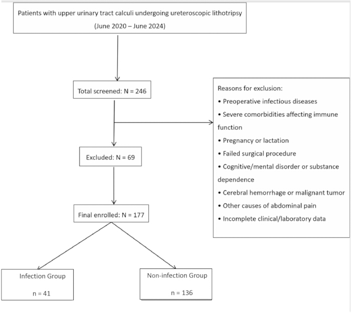 Patient selection flowchart for ureteroscopic lithotripsy study; exclusions listed.