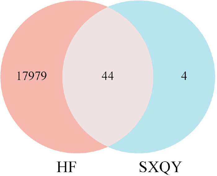 figure-results-3 比较HF和SXQY数据集的维恩图,显示重叠及特有值分析。