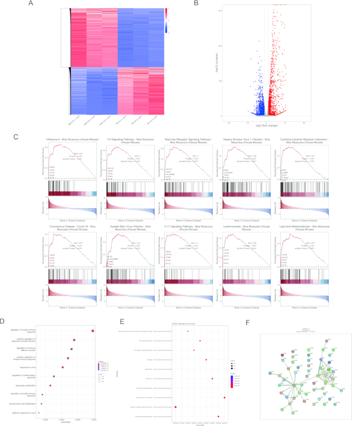 Gene expression analysis; heatmap, volcano plot, GSEA, pathway enrichment. Data visualization results.