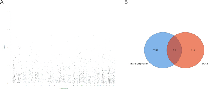 Manhattan plot and Venn diagram; transcriptome data, TWAS analysis, gene association results.